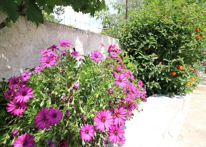 Juli 公寓 卡萨米尔