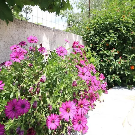 Juli Apartment Ksamil